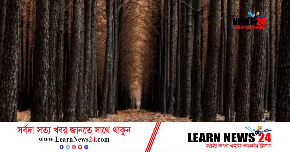 যে ভয়ংকর তথ্য উঠে এলো গবেষণায় যে ভয়ংকর তথ্য উঠে এলো গবেষণায়