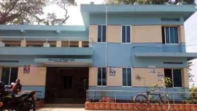 ঠান্ডাজনিত রোগে একে একে মারা গেলো খামারির ১০৫ ছাগল ঠান্ডাজনিত রোগে একে একে মারা গেলো খামারির ১০৫ ছাগল